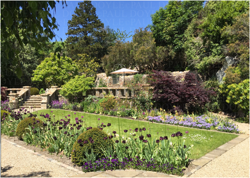 Horizon Garden
